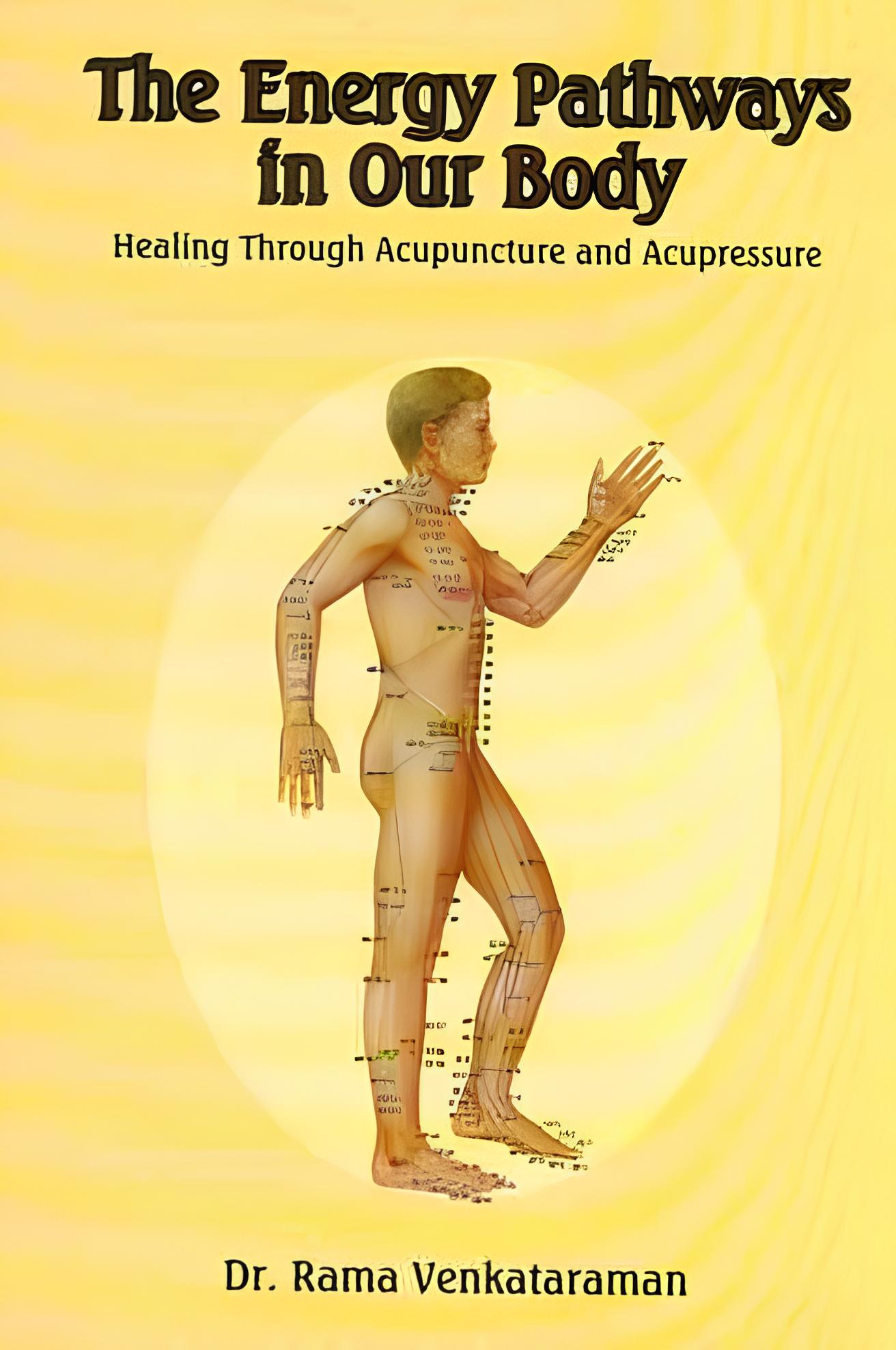 The Energy Pathways in Our Body